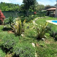 a garden with plants and a swimming pool at Villa Malini in Grožnjan