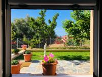 A garden outside Strelitzia Apartments