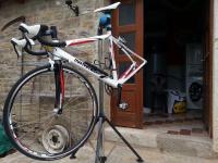 Jazda na bicykli v okolí ubytovania al Merlo Olivo, rural istrian house