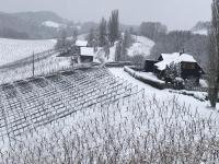 Kranach 5 - Wohnen beim Wein during the winter
