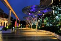 MIO BOUTIQUE Hotelにある庭