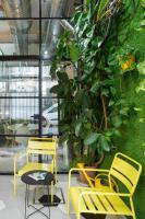 Vonkajšia záhrada v ubytovaní MonKeys Apartments Luxury MetaLoft