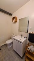 a bathroom with a toilet and a sink and a mirror at Charmant logement avec parking in Orvault
