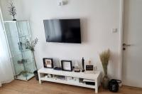 Televízia a/alebo spoločenská miestnosť v ubytovaní Apartman H8