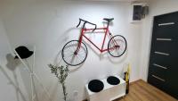Jazda na bicykli v okolí ubytovania Apartman H8
