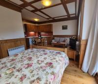 Kuchyň nebo kuchyňský kout v ubytování Pirin Golf Hotel Private Studios