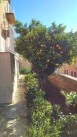 Zahrada ubytování Giardino della Nonna Bice - locazioni turistiche