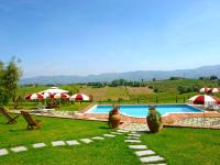 The swimming pool at or close to Apartment Michelangelo by Interhome