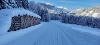 Appartement Winteraugut v zime