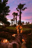 a fire pit with palm trees in the background at Hotel Rural Xereca in Puig D’en Valls