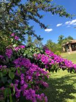 Zahrada ubytování Tottam Art & Healthy Garden