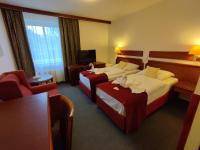 Postel nebo postele na pokoji v ubytování Hotel Bohemia Excellent