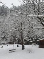 Plán poschodí v ubytovaní Ferienhaus am Fritzbach
