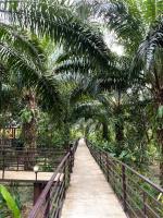 Khaosok Good view Resort - SHA PLUSにある庭
