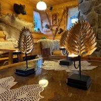 twee lampen staan tentoongesteld op een tafel in een kamer bij Pensjonat u Ani in Zakopane