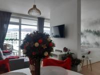 Televízia a/alebo spoločenská miestnosť v ubytovaní Apartamenty pod Dębowcem Apartament 44 Rowerek