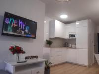 Kuchyňa alebo kuchynka v ubytovaní Apartamenty pod Dębowcem Apartament 44 Rowerek