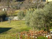 Vonkajšia záhrada v ubytovaní Casa Teodoro - Gelsomino, Ulivi & Orchidea