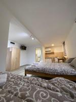 a bedroom with two beds and a kitchen in the background at Vila Nika in Crni Vrh