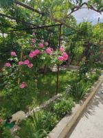 Zahrada ubytování Acan Apart günlük kiralık ev Ürgüp