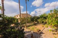 A garden outside Finca Sitjoles