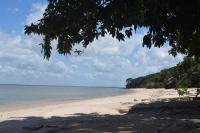 a sandy beach with trees and the ocean at Pousada Grão in Belém