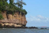 an island in the ocean with trees on it at Pousada Grão in Belém