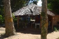 a small hut with a thatched roof and two trees at Pousada Grão in Belém