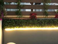 Balkón alebo terasa v ubytovaní DreamsApt Plaza Nueva
