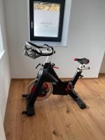 Posilňovňa alebo fitness centrum v ubytovaní Bergglück - gemütliches Appartement am Traunsee