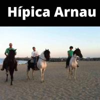 Zvířata v apartmánu nebo okolí