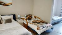 Posteľ alebo postele v izbe v ubytovaní Apartamenty gościnne na szlaku