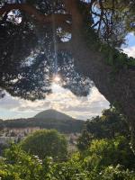 Príroda v okolí apartmánu