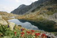 Plán poschodí v ubytovaní Apartmány Pilot-Vysoké Tatry
