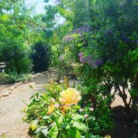Zahrada ubytování Masia Castellvi B&B