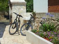 Jazda na bicykli v okolí ubytovania Holiday Home Vinka by Interhome