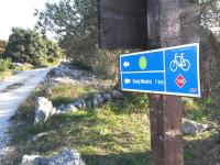 Jazda na bicykli v okolí ubytovania Holiday Home Vinka by Interhome