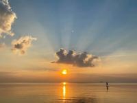 Naturlandskabet i nærheden af villaen