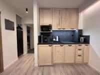 Kuchyň nebo kuchyňský kout v ubytování Apartmány Panorama Harrachov