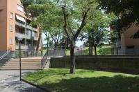 Vonkajšia záhrada v ubytovaní "VACANZA A CASA" - Gallicano & Gallicano2