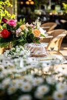 Vonkajšia záhrada v ubytovaní Hotel Aurora