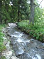Příroda nedaleko apartmánu