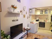Kuchyň nebo kuchyňský kout v ubytování Get Prague Flat Slovenska