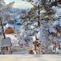 Domek Góralski nad Czorsztynem - Kluszkowce v zime