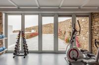 Posilňovňa alebo fitness centrum v ubytovaní The Mykonist Executive Villa Elia Beach