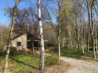 a stone house in the middle of a forest at Cottage 4 personnes dans domaine privé in Signy-le-Petit