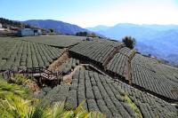 an old roof of a farm with mountains in the background at Alishan B&amp;B YunMinGi in Fenqihu