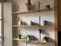 a room with wooden shelves with potted plants at Bordeaux Chéri in Bordeaux