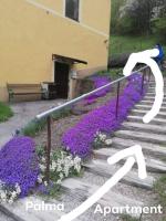 A garden outside Palma Apartment 2