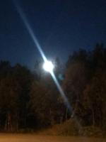 Půdorys ubytování Trivelig fritidshus på Årnes, Senja